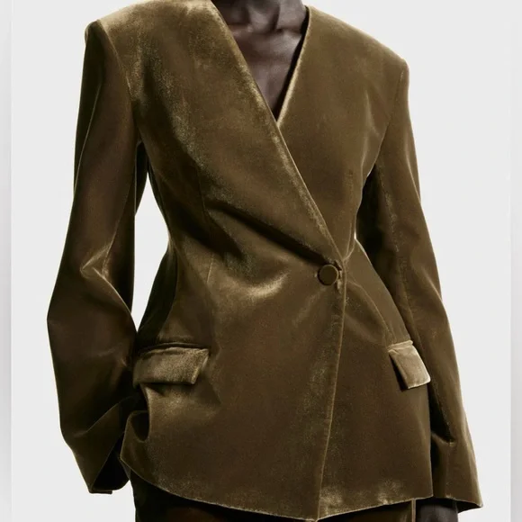 H&M Holiday 2025 Women's Velvet Blazer/Jacket (dark khaki green) size M & L. NWT - Picture 1 of 9